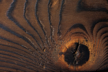 Shabby brown wooden texture with knot close up, macro photo