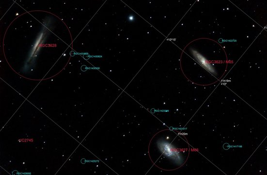 Tripletto del Leone marcato