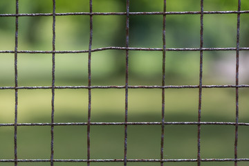 Close-up of metal fence from rusty mesh. Old wire enclosure with blurred greenery in the background. Park or privacy garden. Idea of security, oppression, freedom. Selective focus.