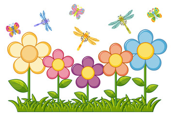 Butterflies and dragonflies in flower garden