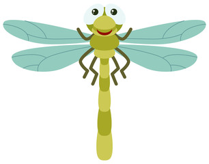 Green dragonfly on white background