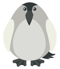 Penguin with gray color