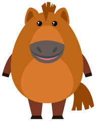 Fototapeta premium Brown horse on white background
