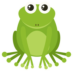 Green frog sitting on white background