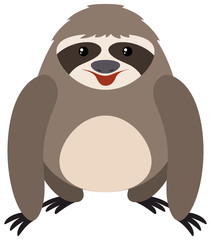 Sloth on white background