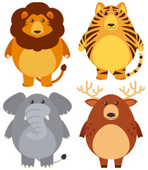 Obraz na płótnie Canvas Four different wild animals with happy face