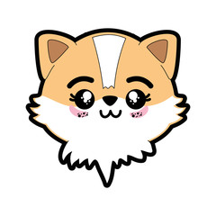 kawaii fox animal icon over white background colorful design vector illustration