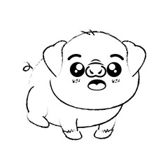 kawaii pig icon over white background vector illustration