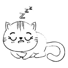 kawaii cat icon over white background vector illustration