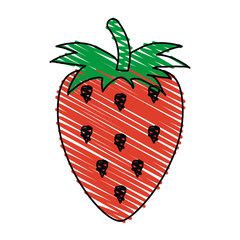 Colorful strawberry doodle over white background vector illustration
