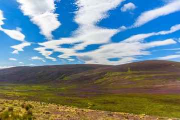 Fototapeta premium View of Cairgorms National Park