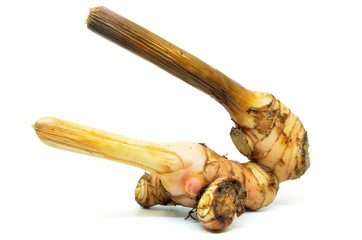 Fresh galangal root