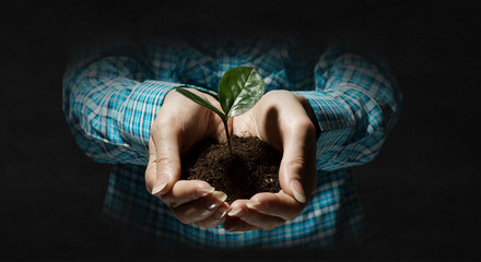 Birth of new life. Mixed media