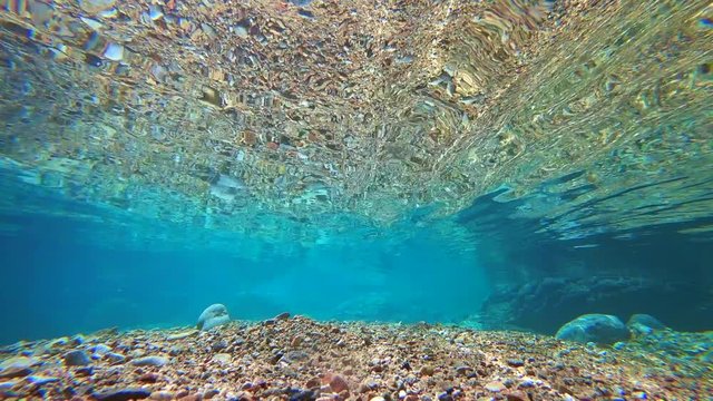 阿寺渓谷の水流・川の流れ