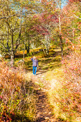 Young woman standing on trail path in autumn forest on hill in Dolly Sods, West Virginia