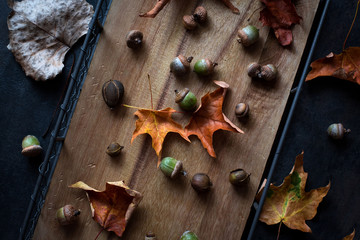 Autumn composition on an old wooden tray, acorns and leaves. Rustic style