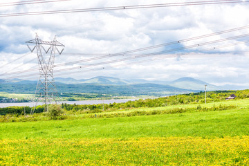 Ile D'Orleans landscape with field of yellow dandelion flowers in summer and electric power lines