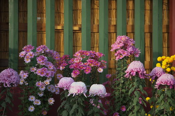 菊が飾られた柵