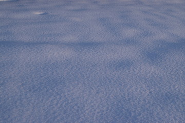 Snowfield