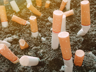 cigarette stub drop in the ground look like graveyard , campaign for world no tobacco day