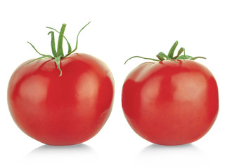 tomatoes isolated on the white background