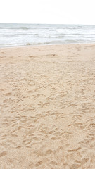 Bird footprint on yellow sand beach