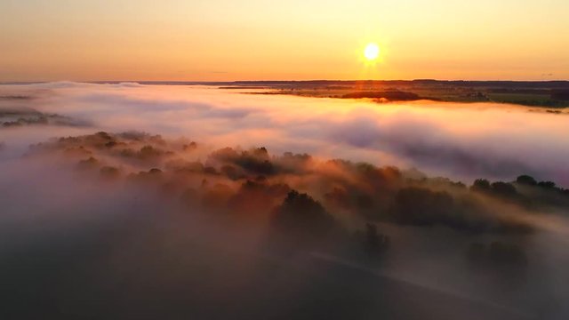 Rural landscape shrouded in ethereal fog at sunrise, aerial view.
