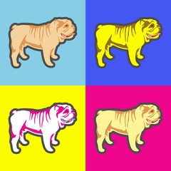 bulldog vector illustration 