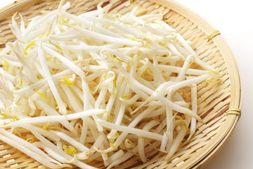 もやし　Bean sprouts