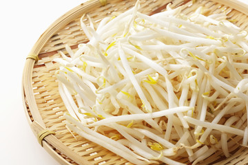 もやし　Bean sprouts