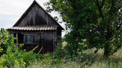 Fototapeta na wymiar Abandoned wooden house in a Russian village, summer day
