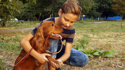 A boy examines the dog's paw
