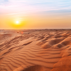 Fototapeta na wymiar Sunset in the desert. Nature background.