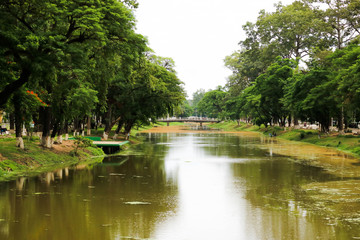 Fototapeta na wymiar Beautiful Nature in Cambodia