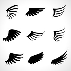 Wings icons set isolated on white background. Vector illustration 