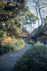 日本　東京　上野公園