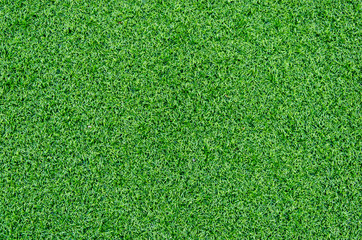 Obraz premium Artificial grass background