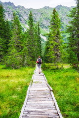 Hiker woman in forest at High Tatras, Slovakia