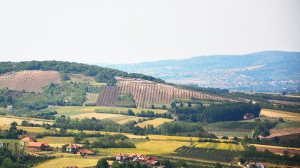 Naklejka premium Meadows in the distance landscape 
