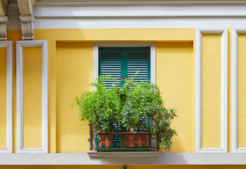 The window of one of the houses in the center of Milan is shuttered and decorated with flowers
