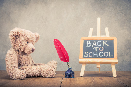 Retro Teddy Bear toy, red quill pen in the inkwell and Back to School written on a blackboard front concrete wall background. Vintage style filtered photo