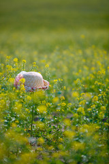 straw hat decorated with flowers lies on a wild meadow with small flowers