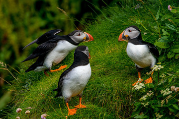 Three is one to many - Drei ist einer zu viel