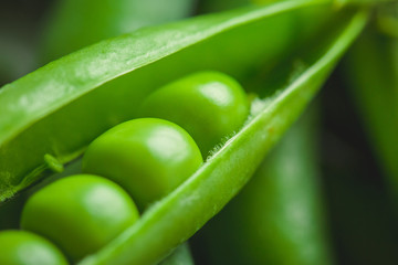 Fresh pea pods and peas closeup, macro