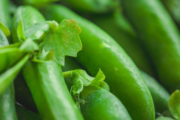 Fresh pea pods and peas closeup, macro