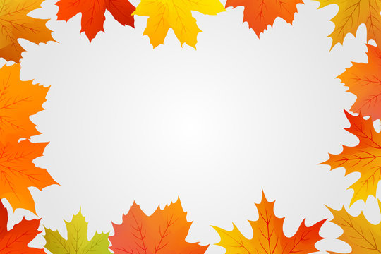 autumn maple leaf border vector drawing composition
