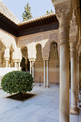 Patio de los Leones, Patio of the Lion, in the Palacios Nazaries. Alhambr