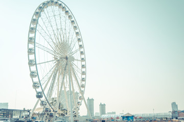 The large Ferris wheel is a player with a high angle view with pastel coloring