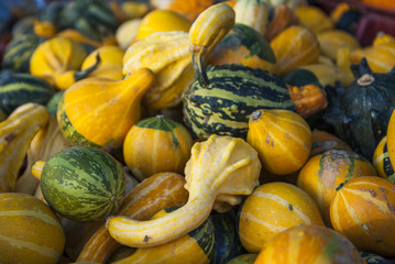 many pumpkins on a farmers market