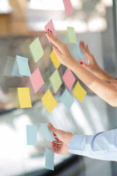 Startup business people concept